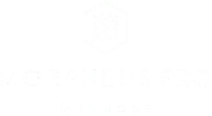 morpheus pro logo